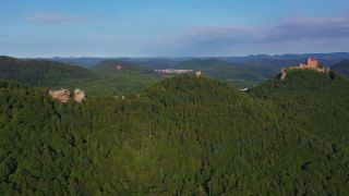 Link zum Video | Landschaft, Rheinland-Pfalz, Deutschland, Pfalz, Pfalz, Wald, Mittelgebirge, Pfälzerwald