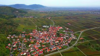 Link to Video | landscape, Rhineland-Palatinate, Germany, Palatinate, Europe, aerial shot, nature