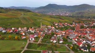 Link to Video | landscape, Rhineland-Palatinate, Germany, Palatinate, Europe, aerial shot, nature