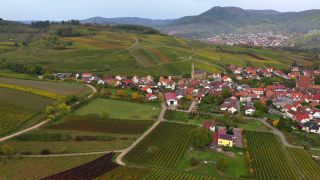 Link zum Video | Landschaft, Rheinland-Pfalz, Deutschland, Pfalz, Europa, Luftaufnahme, Natur