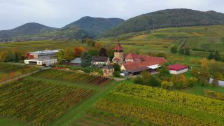Link to Video | landscape, Rhineland-Palatinate, Germany, Palatinate, Europe, aerial shot, nature