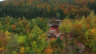 Link to Video | landscape, Rhineland-Palatinate, Germany, Palatinate, Europe, aerial shot, nature
