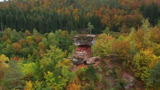 Link to Video | landscape, Rhineland-Palatinate, Germany, Palatinate, Europe, aerial shot, nature