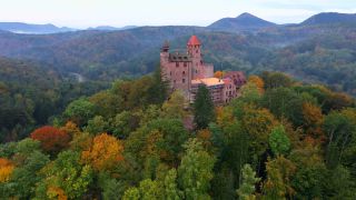 Link to Video | tree, Rhineland-Palatinate, autumn, forest, aerial shot, Mittelgebirge, Palatinate Forest