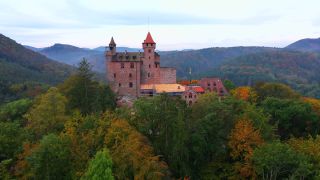 Link to Video | tree, Rhineland-Palatinate, autumn, forest, aerial shot, Mittelgebirge, Palatinate Forest