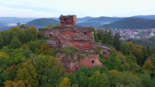 Link zum Video | Baum, Rheinland-Pfalz, Herbst, Wald, Luftaufnahme, Mittelgebirge, Pfälzerwald