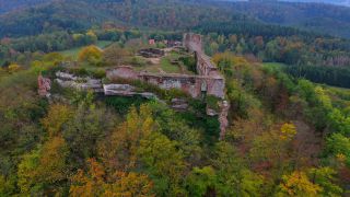 Link to Video | tree, Rhineland-Palatinate, autumn, forest, aerial shot, Mittelgebirge, Palatinate Forest