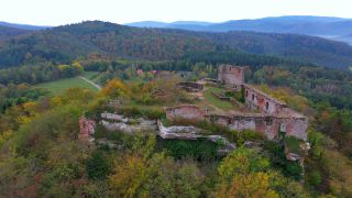 Link to Video | tree, Rhineland-Palatinate, autumn, forest, aerial shot, Mittelgebirge, Palatinate Forest