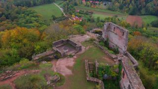 Link to Video | tree, Rhineland-Palatinate, autumn, forest, aerial shot, Mittelgebirge, Palatinate Forest