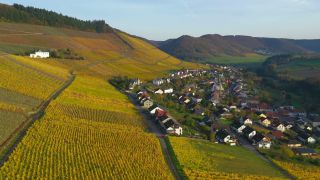 Link zum Video | Landschaft, Rheinland-Pfalz, Herbst, Saar, Deutschland, Luftaufnahme, Verbandsgemeinde Saarburg-Kell, Landkreis Trier-Saarburg