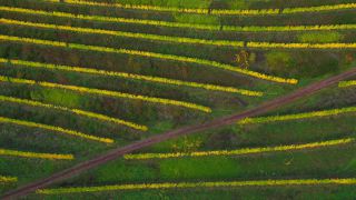Link to Video | landscape, Rhineland-Palatinate, autumn, Saar, Germany, aerial shot, Saarburg-Kell, Trier-Saarburg