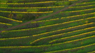Link to Video | landscape, Rhineland-Palatinate, autumn, Saar, Germany, aerial shot, Saarburg-Kell, Trier-Saarburg