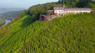 Link zum Video | Landschaft, Landwirtschaft, Rheinland-Pfalz, Saar, Weinbaugebiet, Weinberg, Traubenlese, Weinbau, Verbandsgemeinde Saarburg-Kell, Serrig, Mosel, Landkreis Trier-Saarburg, Winzer