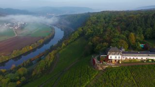 Link zum Video | Landschaft, Landwirtschaft, Rheinland-Pfalz, Saar, Weinbaugebiet, Weinberg, Traubenlese, Weinbau, Verbandsgemeinde Saarburg-Kell, Serrig, Mosel, Landkreis Trier-Saarburg, Winzer