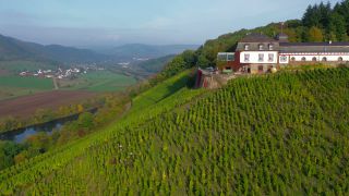 Link zum Video | Landschaft, Landwirtschaft, Rheinland-Pfalz, Saar, Weinbaugebiet, Weinberg, Traubenlese, Weinbau, Verbandsgemeinde Saarburg-Kell, Serrig, Mosel, Landkreis Trier-Saarburg, Winzer