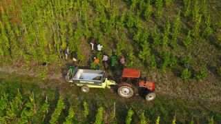 Link to Video | landscape, agriculture, Rhineland-Palatinate, Saar, wine-producing region, vineyard, wine harvest, viticulture, Saarburg-Kell, Serrig, Mosel-Saar-Ruwer, Trier-Saarburg, winegrower