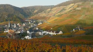 Link to Video | Rhineland-Palatinate, autumn, Germany, Ahr Valley