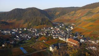 Link to Video | Rhineland-Palatinate, autumn, Germany, Ahr Valley