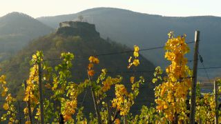 Link to Video | Rhineland-Palatinate, autumn, Germany, Ahr Valley
