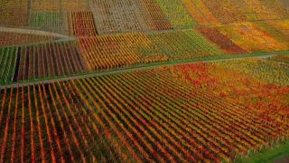 Link to Video | Rhineland-Palatinate, autumn, Germany, Ahr Valley