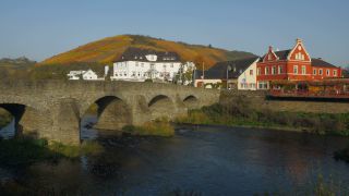 Link to Video | Rhineland-Palatinate, autumn, Germany, Ahr Valley