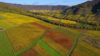 Link to Video | Rhineland-Palatinate, autumn, Moselle, Germany, wine-producing region, vineyard, viticulture, river, aerial shot, Mosel-Saar-Ruwer