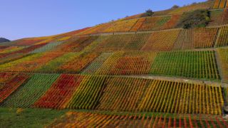 Link to Video | Rhineland-Palatinate, autumn, Germany, Ahr Valley