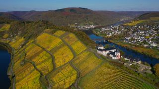 Link zum Video | Rheinland-Pfalz, Herbst, Mosel, Deutschland, Weinbaugebiet, Weinberg, Weinbau, Fluss, Luftaufnahme, Mosel