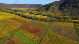 Link zum Video | Rheinland-Pfalz, Herbst, Mosel, Deutschland, Weinbaugebiet, Weinberg, Weinbau, Fluss, Luftaufnahme, Mosel