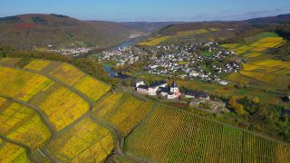 Link to Video | Rhineland-Palatinate, autumn, Moselle, Germany, wine-producing region, vineyard, viticulture, river, aerial shot, Mosel-Saar-Ruwer
