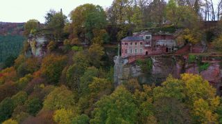 Link to Video | tree, autumn, Rhineland, Germany, highway, forest, aerial shot, Kastel-Staadt, nature, Trier-Saarburg