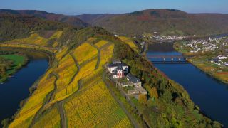 Link zum Video | Rheinland-Pfalz, Herbst, Mosel, Deutschland, Weinbaugebiet, Weinberg, Weinbau, Fluss, Luftaufnahme, Mosel