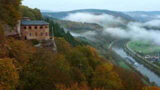 Link to Video | tree, autumn, Rhineland, Germany, highway, forest, aerial shot, Kastel-Staadt, nature, Trier-Saarburg