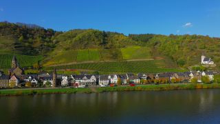 Link to Video | Rhineland-Palatinate, autumn, Moselle, Germany, wine-producing region, vineyard, viticulture, river, aerial shot, Mosel-Saar-Ruwer
