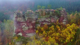 Link zum Video | Baum, Herbst, Rheinland, Deutschland, Highway, Wald, Luftaufnahme, Kastel-Staadt, Natur, Landkreis Trier-Saarburg