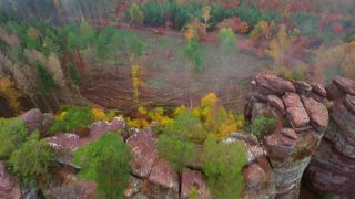 Link to Video | tree, autumn, Rhineland, Germany, highway, forest, aerial shot, Kastel-Staadt, nature, Trier-Saarburg