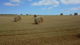 Link zum Video | Landwirtschaft, Vogelperspektive, Rheinland-Pfalz, Getreide, Deutschland, Acker, Ernte, Stoppelfeld, Luftaufnahme, Saargau