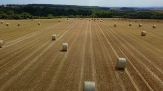 Link to Video | agriculture, bird's-eye view, Rhineland-Palatinate, cereal, Germany, field, harvest, stover, aerial shot, Saargau