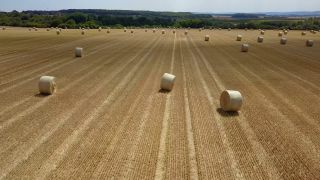 Link to Video | agriculture, bird's-eye view, Rhineland-Palatinate, cereal, Germany, field, harvest, stover, aerial shot, Saargau