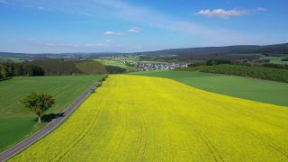 Link to Video | landscape, agriculture, bird's-eye view, Rhineland-Palatinate, rapeseed, Germany, field, Hunsrück, Hochwald, Mandern, aerial shot, Mandern, nature