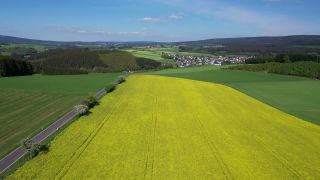 Link zum Video | Landschaft, Landwirtschaft, Vogelperspektive, Rheinland-Pfalz, Raps, Deutschland, Acker, Hunsrück, Hochwald, Mandern, Luftaufnahme, Mandern, Natur
