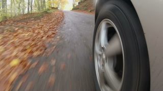 Link to Video | autumn, danger, motor car, foliage, Fahren, road, speed