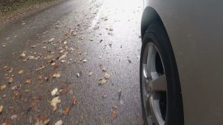 Link to Video | autumn, danger, motor car, foliage, Fahren, road, speed