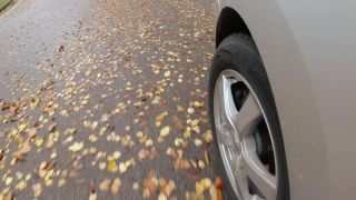 Link to Video | autumn, danger, motor car, foliage, Fahren, road, speed