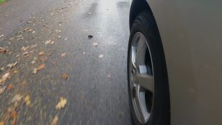 Link zum Video | Herbst, Gefahr, Auto, Laub, Fahren, Straße, Geschwindigkeit
