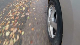 Link zum Video | Herbst, Gefahr, Auto, Laub, Fahren, Straße, Geschwindigkeit