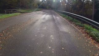 Link to Video | autumn, danger, motor car, foliage, Fahren, road, speed