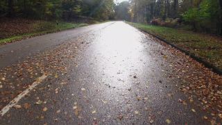 Link to Video | autumn, danger, motor car, foliage, Fahren, road, speed