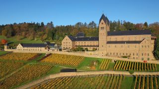 Link to Video | landscape, bird's-eye view, autumn, Germany, river, aerial shot, Rhine, nature