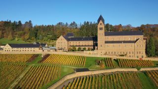 Link zum Video | Landschaft, Vogelperspektive, Herbst, Deutschland, Fluss, Luftaufnahme, Rhein, Natur